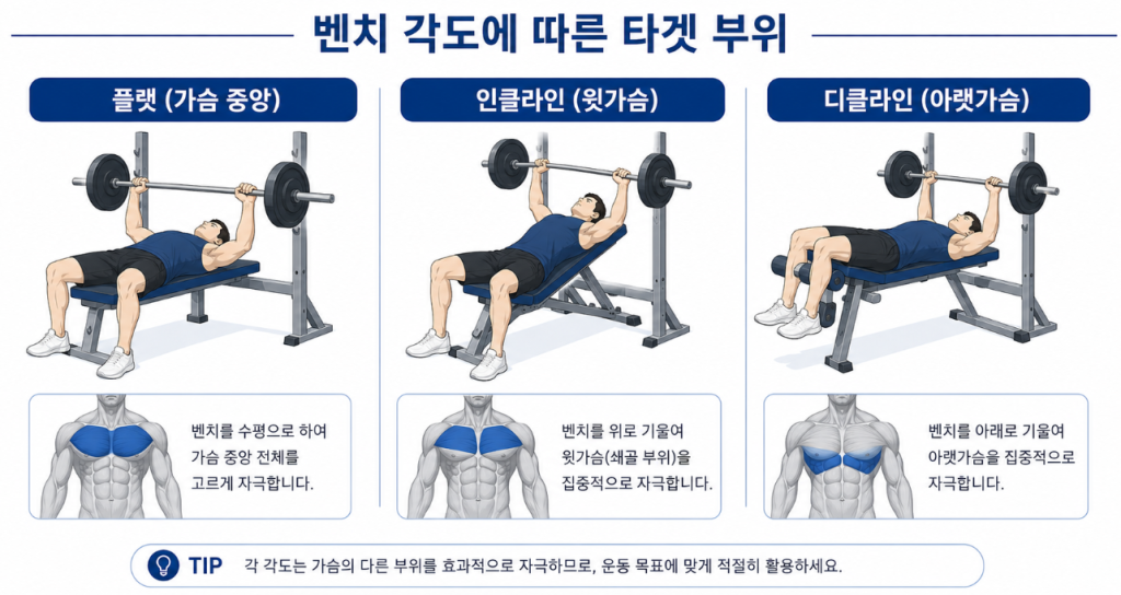 플랫 인클라인 디클라인 등 벤치 각도별 운동 부위